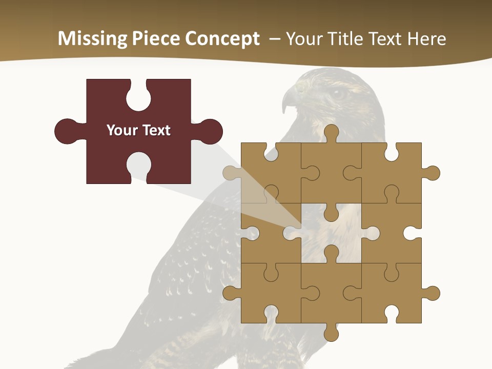 Hawk Isolated Nature PowerPoint Template