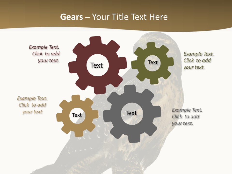 Hawk Isolated Nature PowerPoint Template