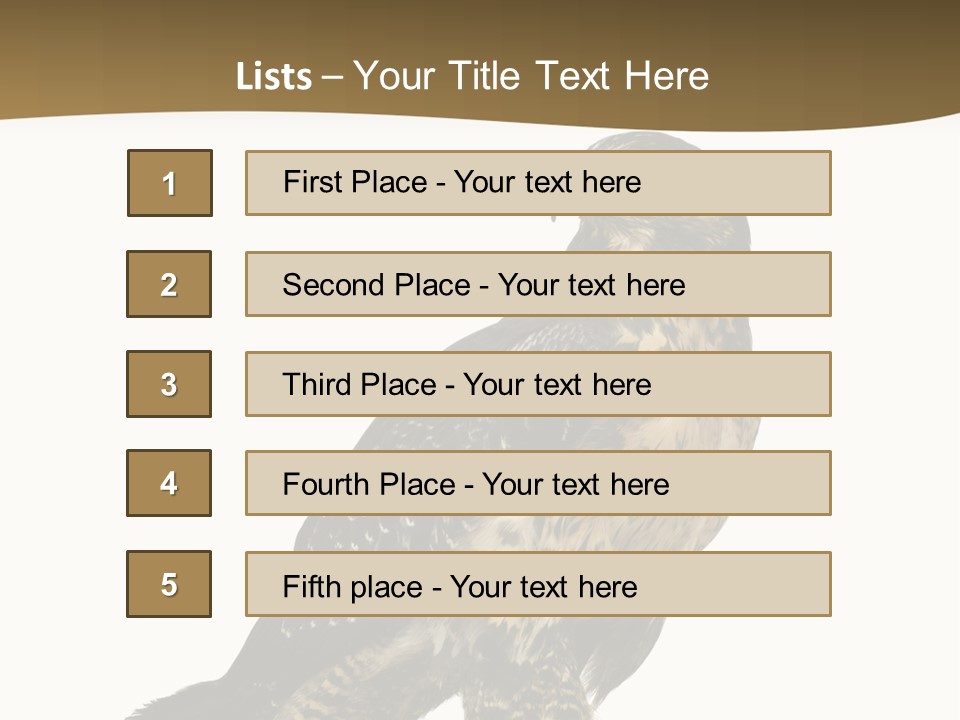 Hawk Isolated Nature PowerPoint Template