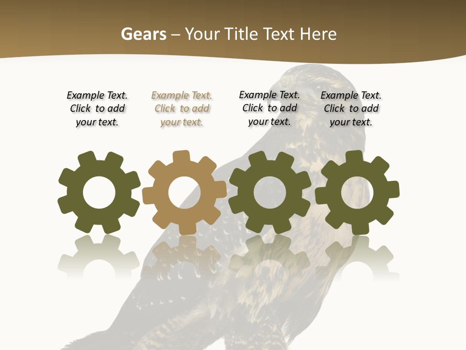 Hawk Isolated Nature PowerPoint Template