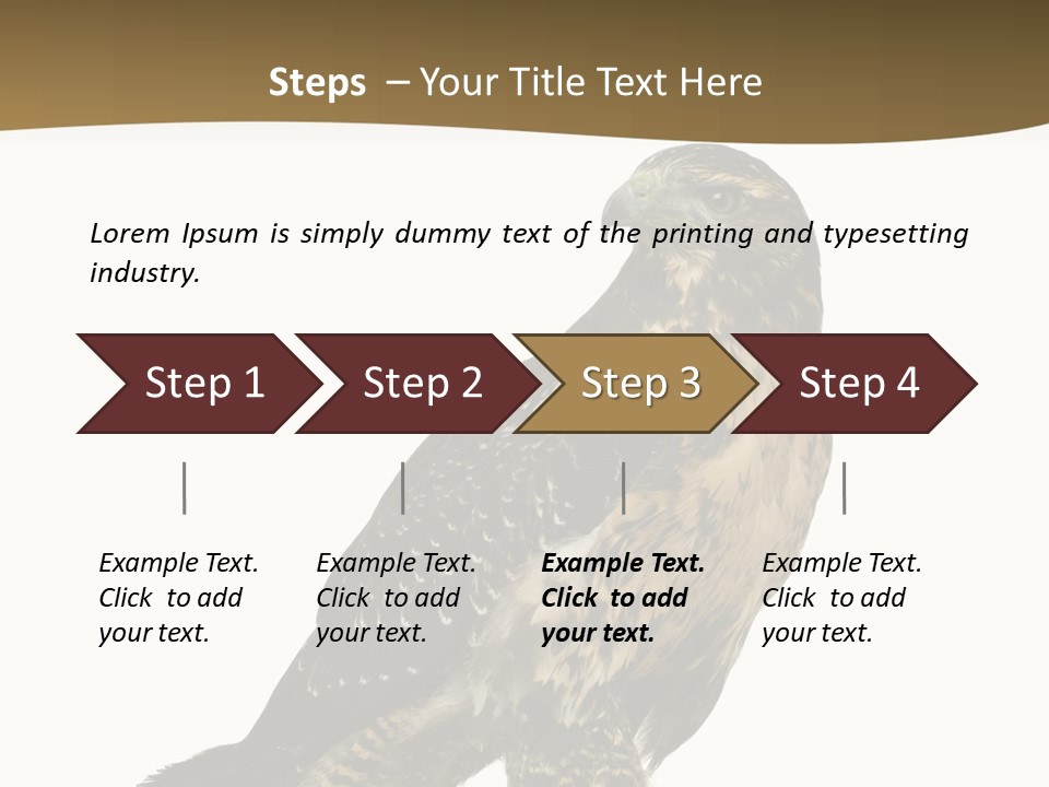 Hawk Isolated Nature PowerPoint Template