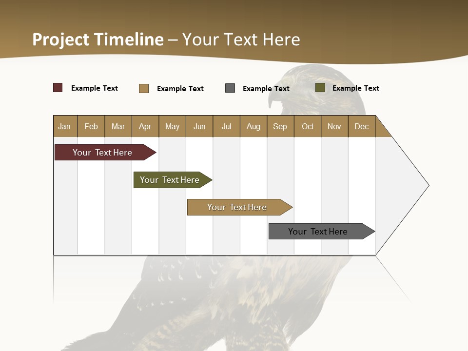 Hawk Isolated Nature PowerPoint Template