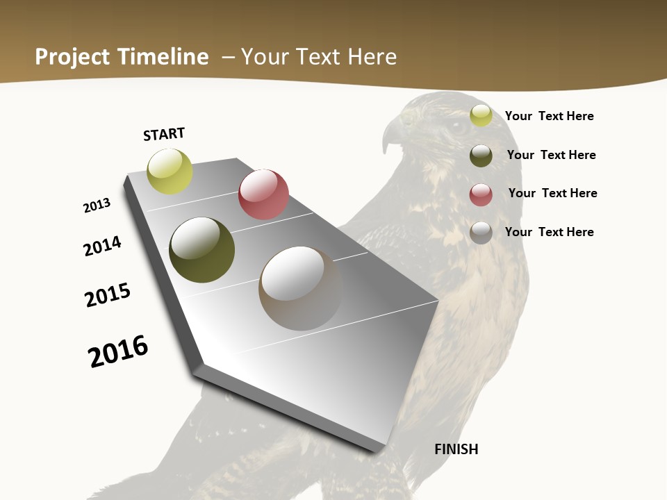 Hawk Isolated Nature PowerPoint Template