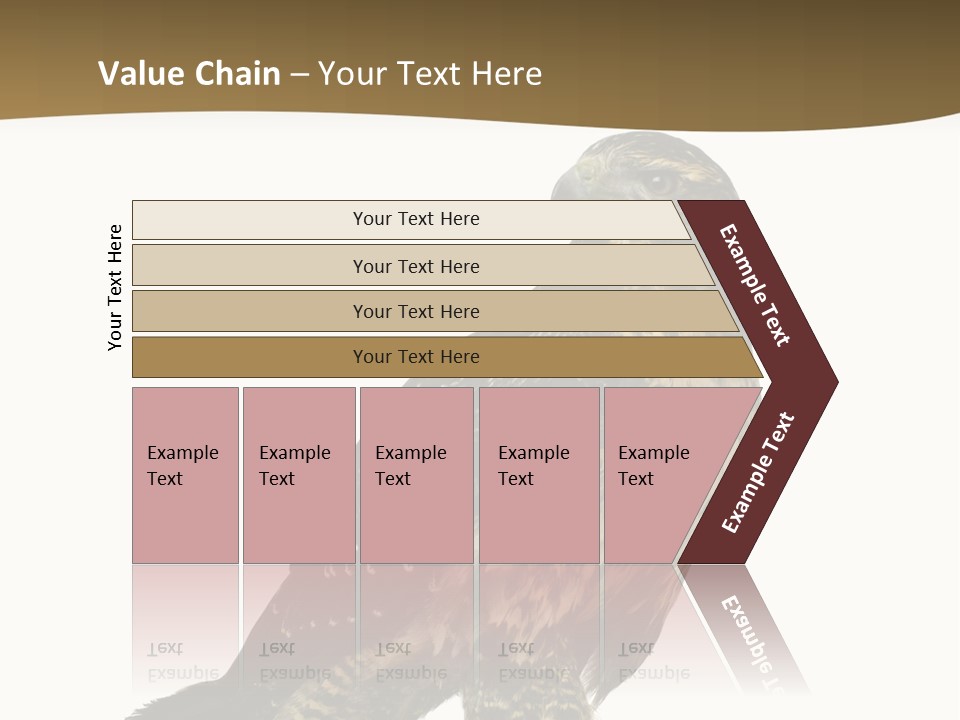 Hawk Isolated Nature PowerPoint Template