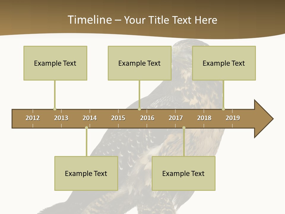 Hawk Isolated Nature PowerPoint Template