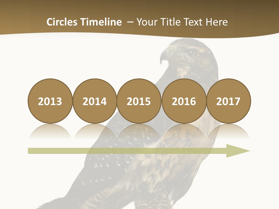 Hawk Isolated Nature PowerPoint Template