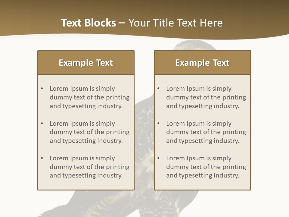 Hawk Isolated Nature PowerPoint Template