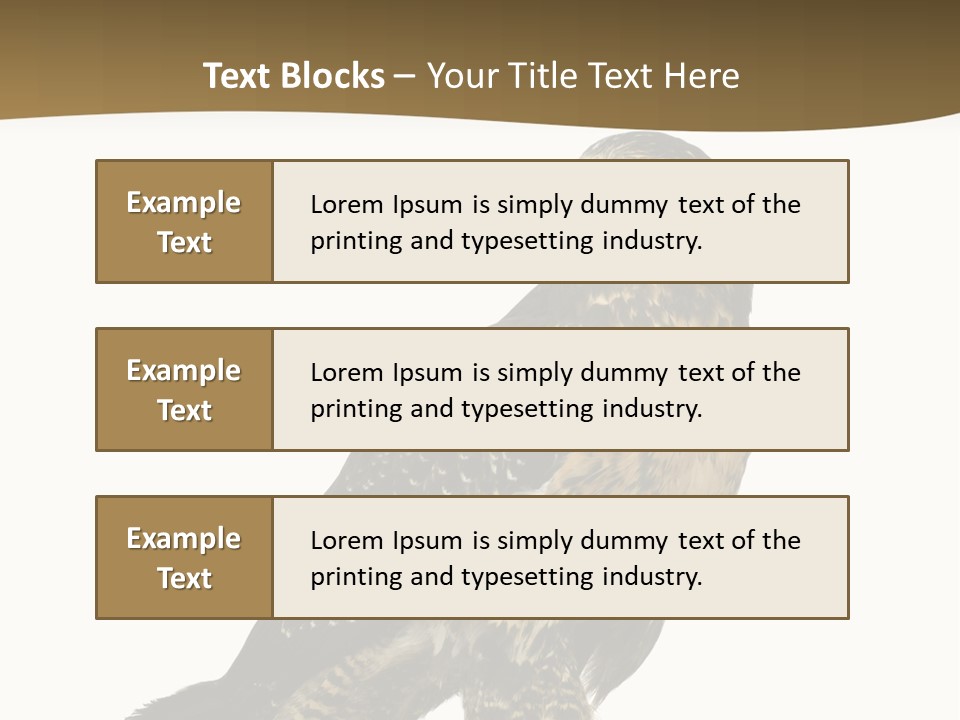 Hawk Isolated Nature PowerPoint Template