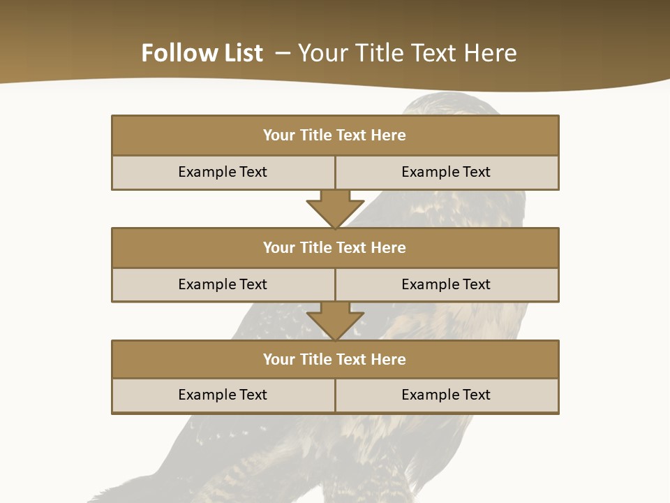 Hawk Isolated Nature PowerPoint Template