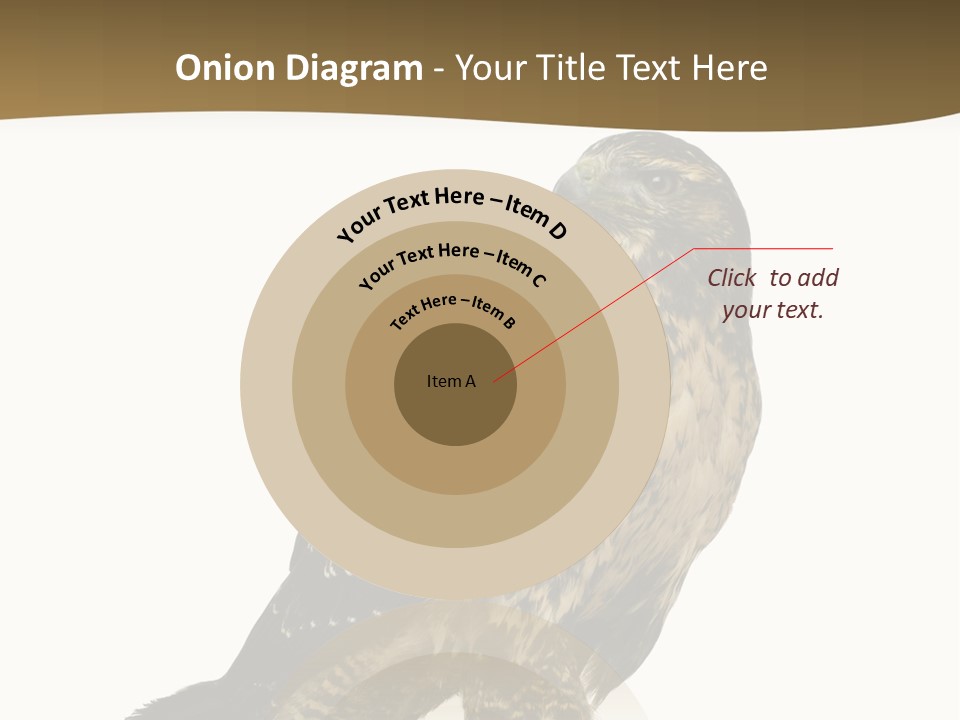 Hawk Isolated Nature PowerPoint Template
