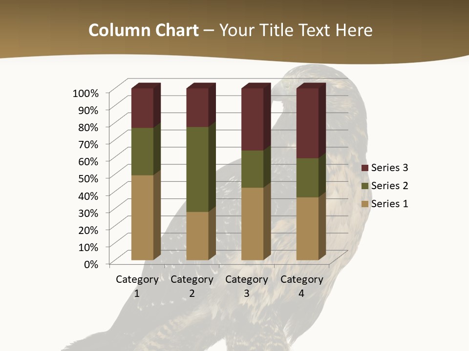 Hawk Isolated Nature PowerPoint Template