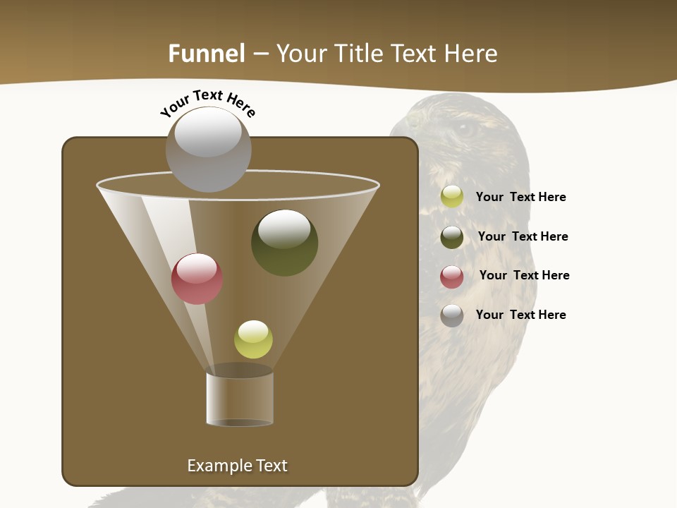 Hawk Isolated Nature PowerPoint Template