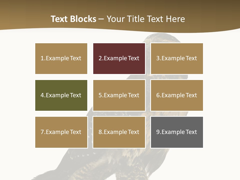 Hawk Isolated Nature PowerPoint Template