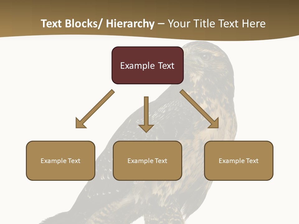Hawk Isolated Nature PowerPoint Template