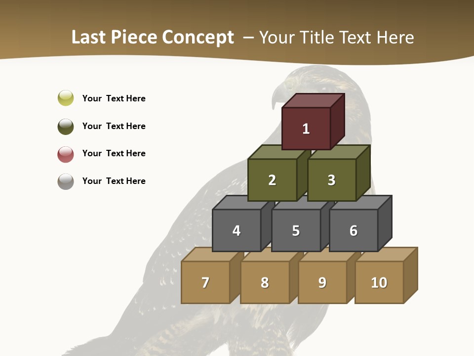 Hawk Isolated Nature PowerPoint Template