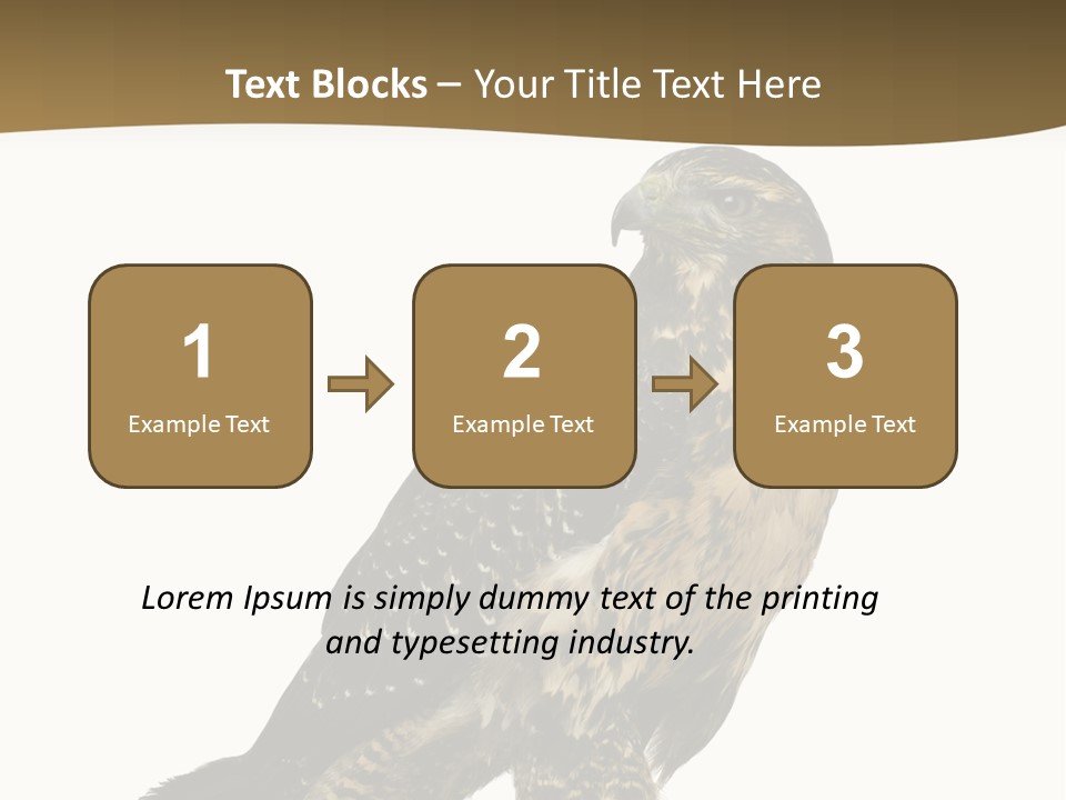 Hawk Isolated Nature PowerPoint Template