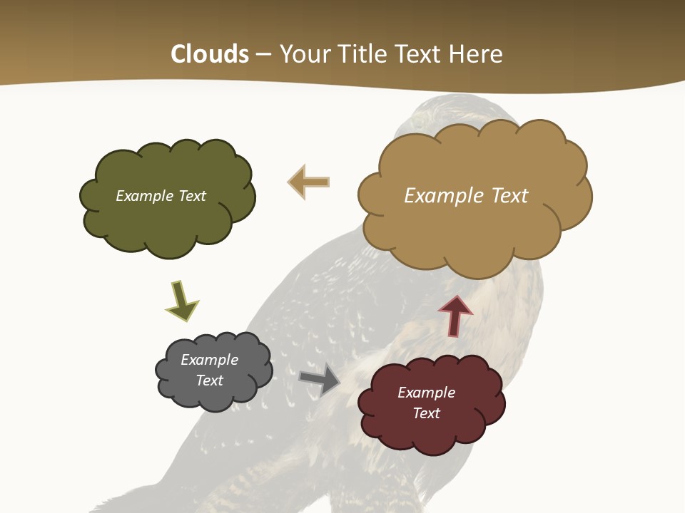 Hawk Isolated Nature PowerPoint Template