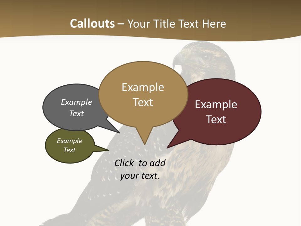 Hawk Isolated Nature PowerPoint Template