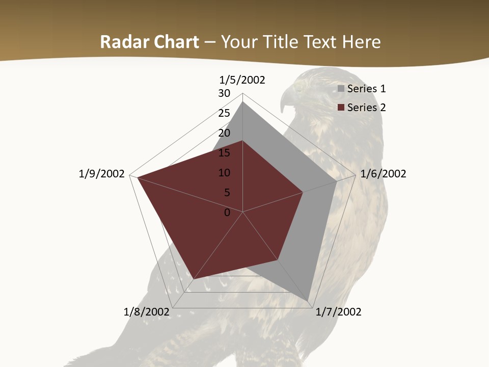 Hawk Isolated Nature PowerPoint Template