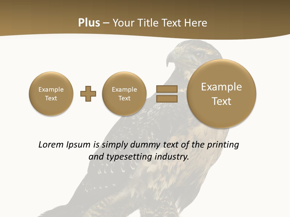 Hawk Isolated Nature PowerPoint Template