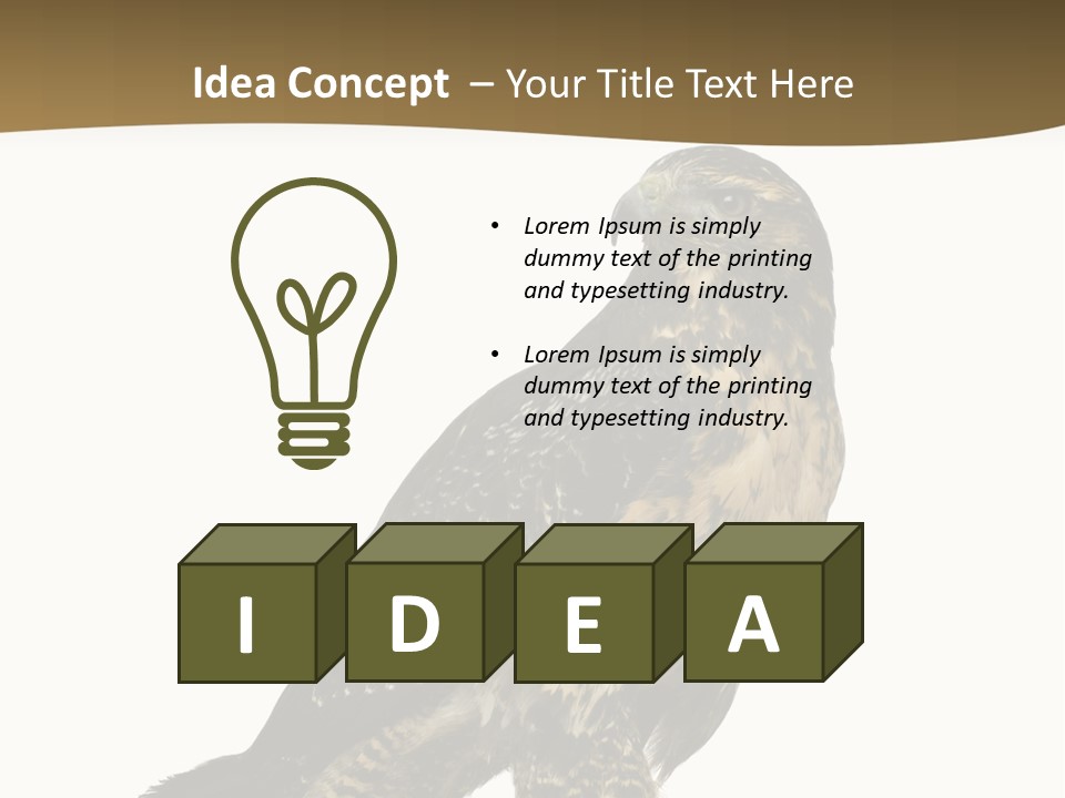 Hawk Isolated Nature PowerPoint Template