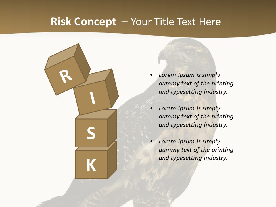 Hawk Isolated Nature PowerPoint Template