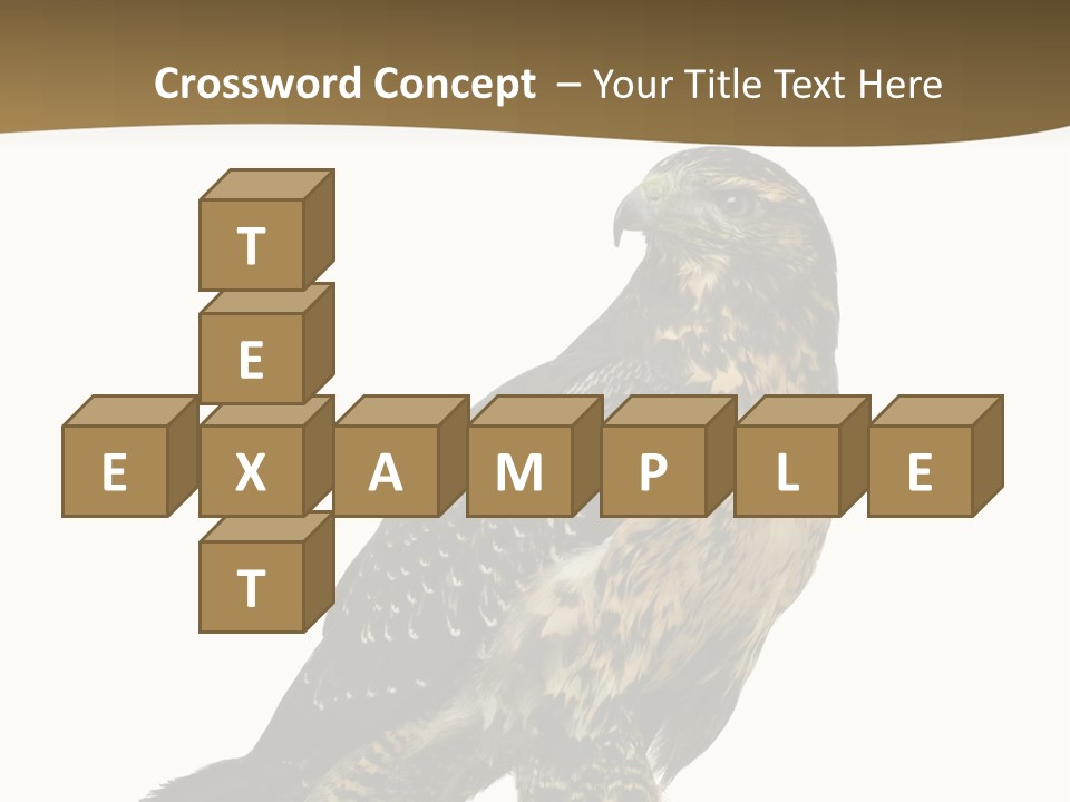 Hawk Isolated Nature PowerPoint Template