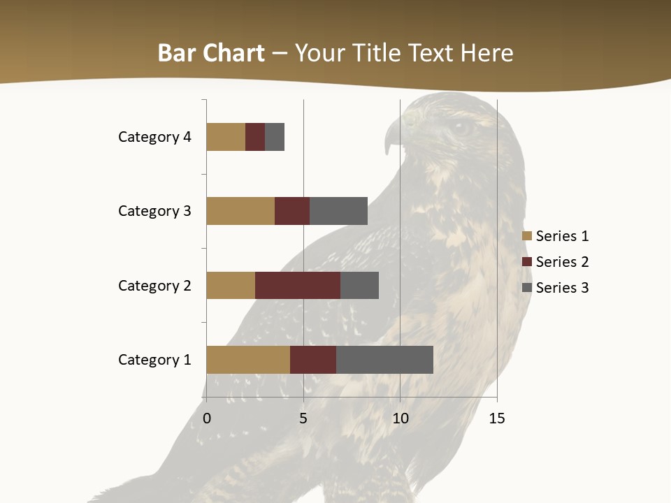 Hawk Isolated Nature PowerPoint Template