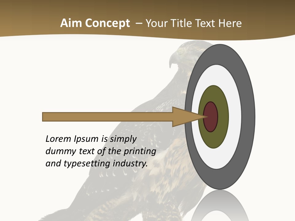 Hawk Isolated Nature PowerPoint Template
