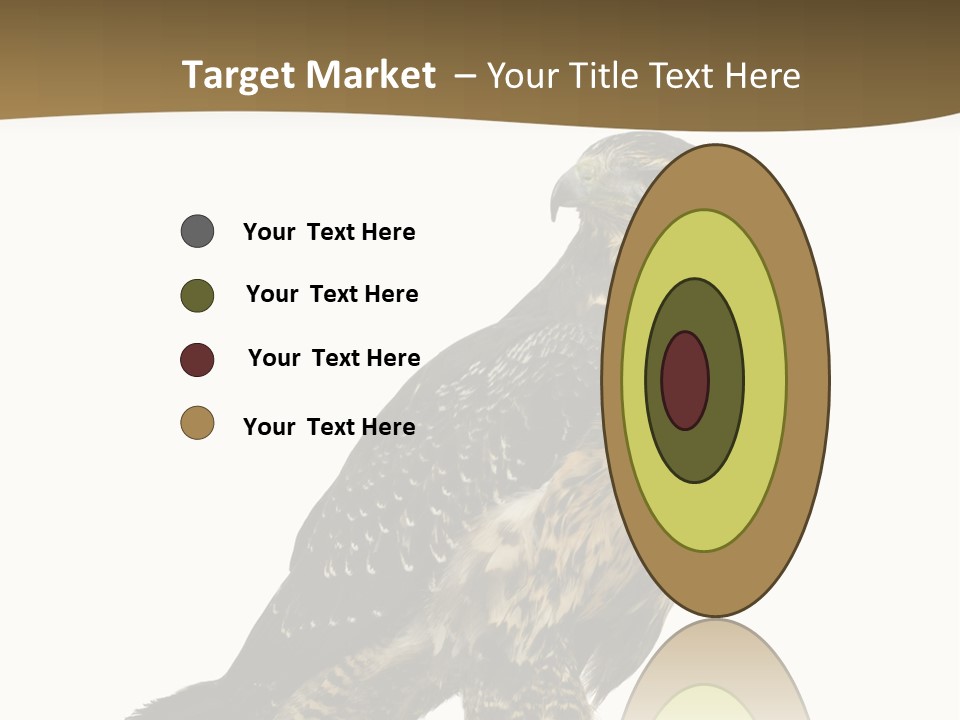 Hawk Isolated Nature PowerPoint Template