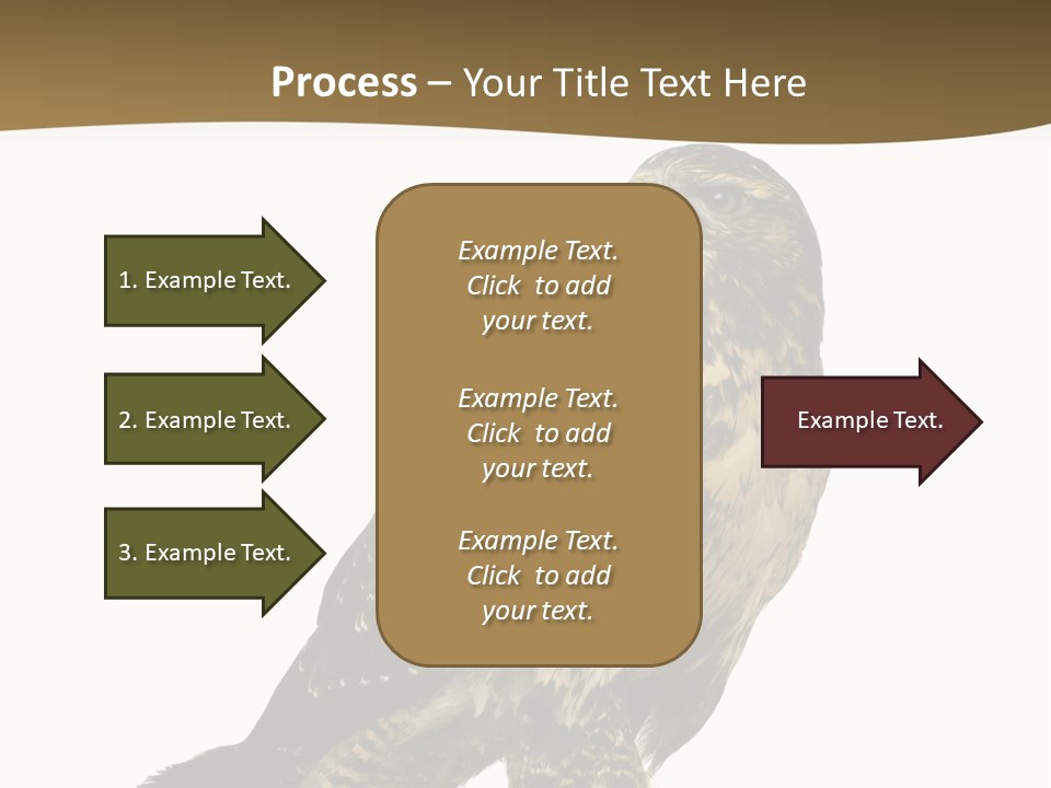 Hawk Isolated Nature PowerPoint Template