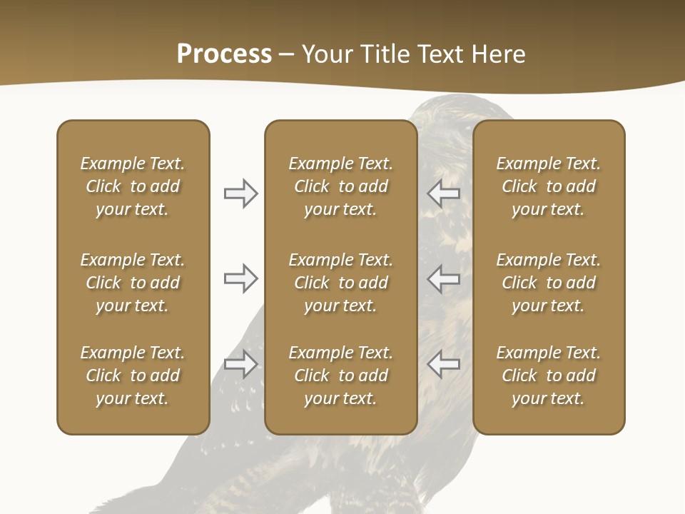 Hawk Isolated Nature PowerPoint Template