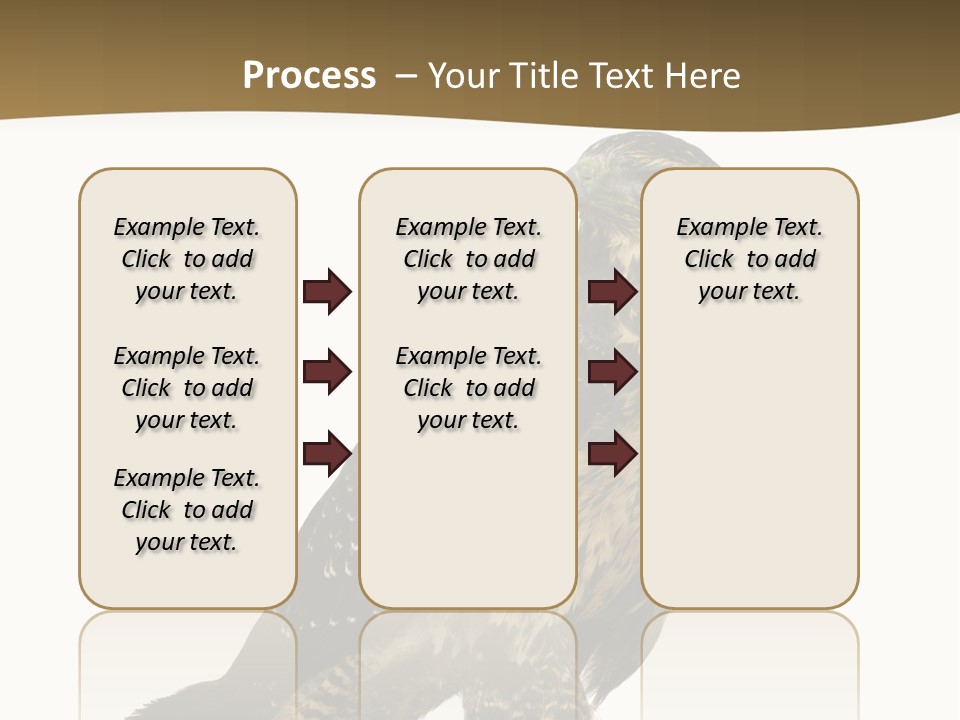 Hawk Isolated Nature PowerPoint Template