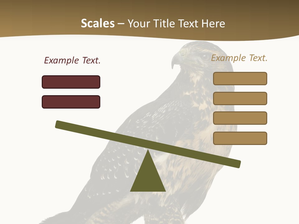 Hawk Isolated Nature PowerPoint Template