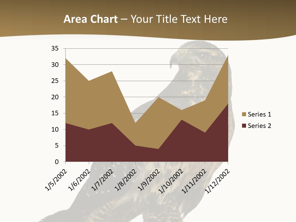 Hawk Isolated Nature PowerPoint Template