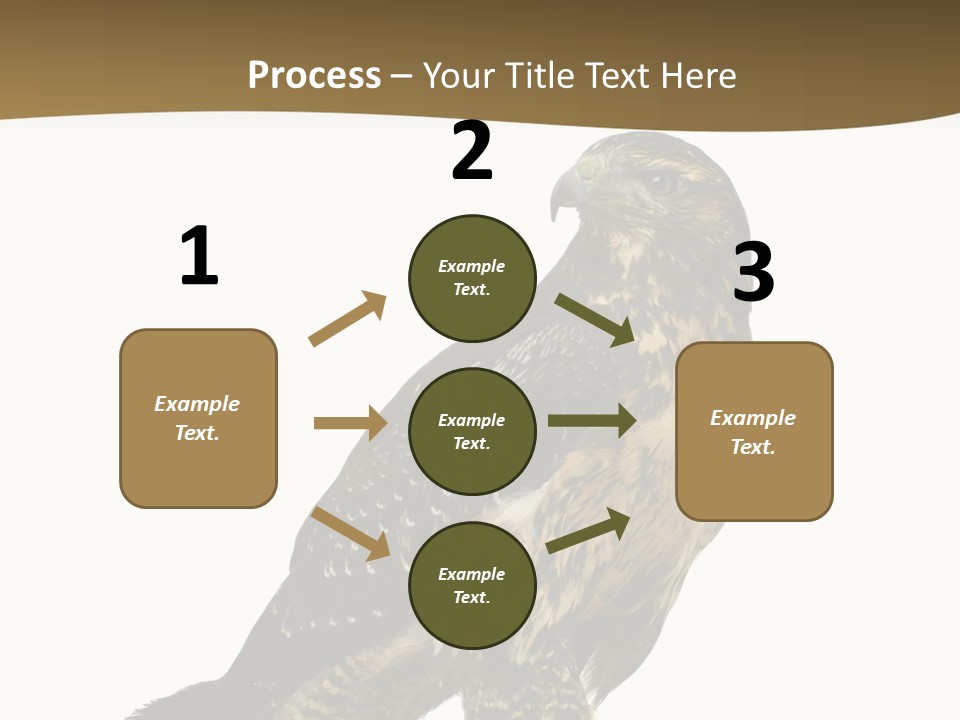 Hawk Isolated Nature PowerPoint Template