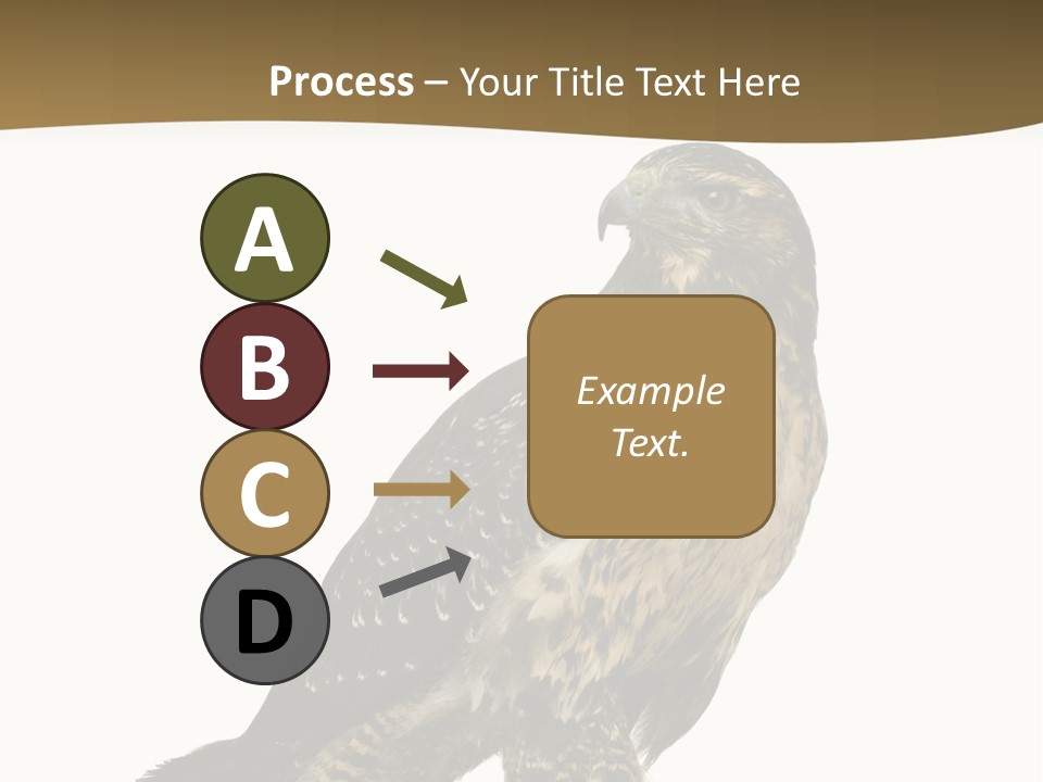 Hawk Isolated Nature PowerPoint Template