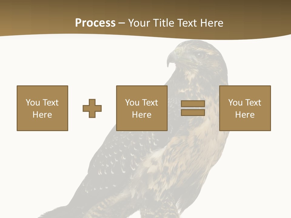Hawk Isolated Nature PowerPoint Template