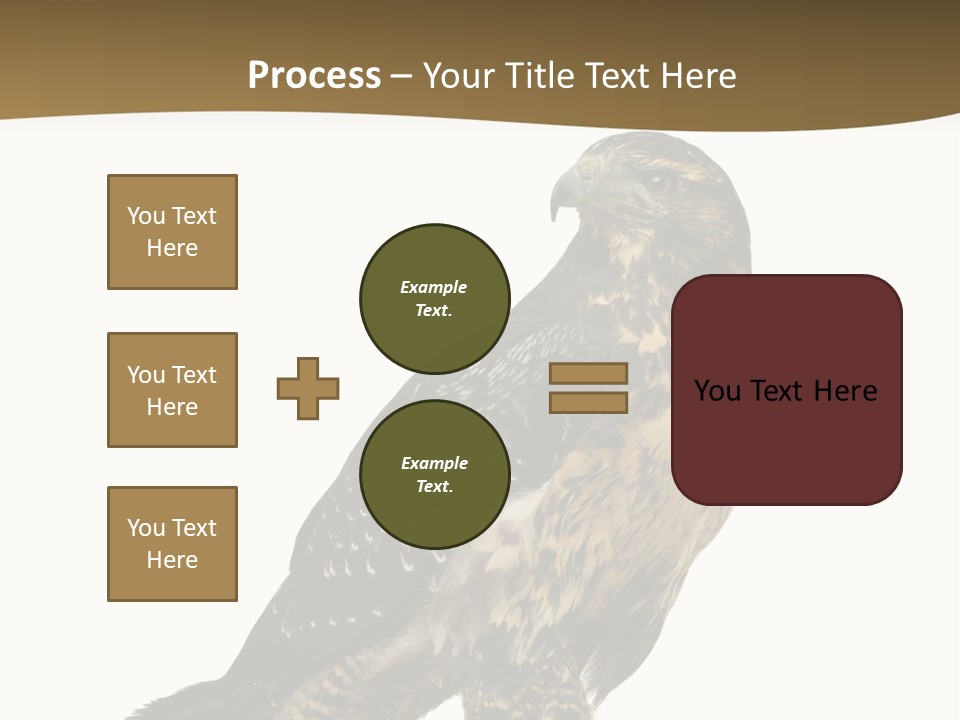 Hawk Isolated Nature PowerPoint Template