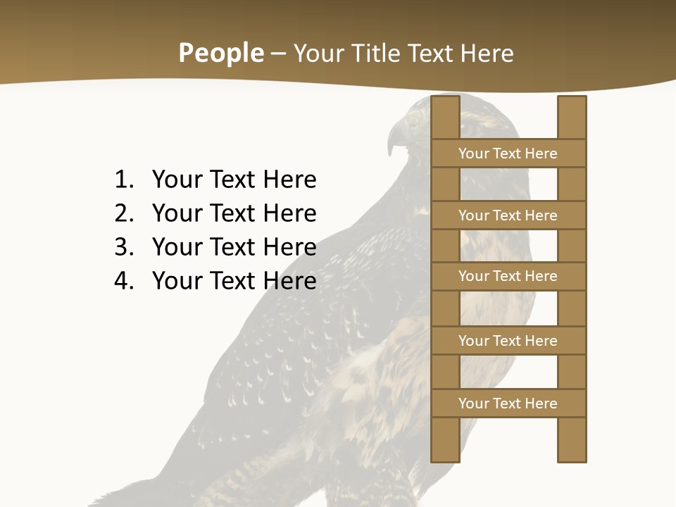 Hawk Isolated Nature PowerPoint Template