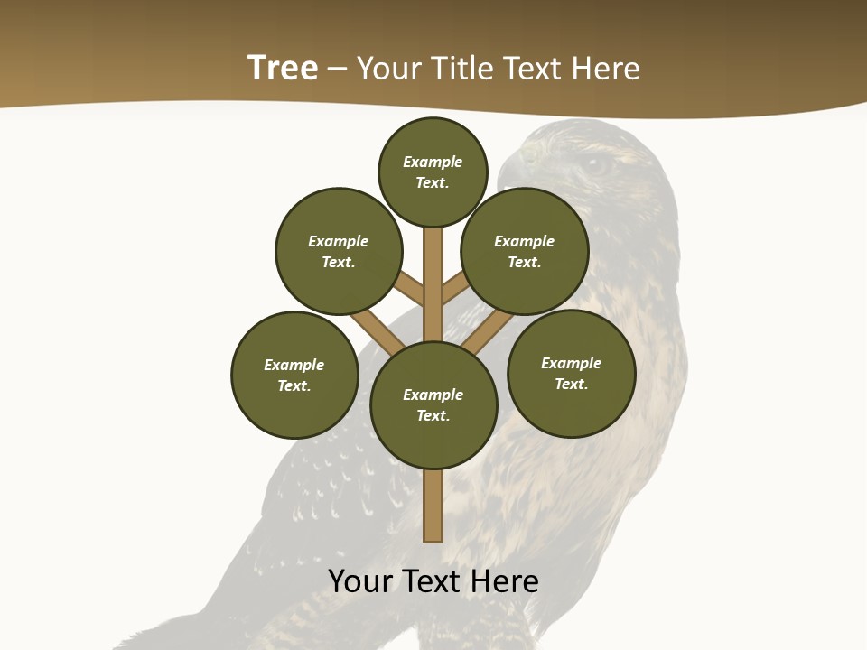 Hawk Isolated Nature PowerPoint Template
