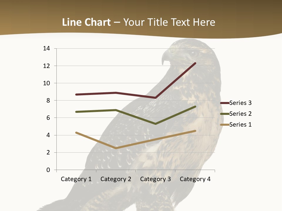Hawk Isolated Nature PowerPoint Template