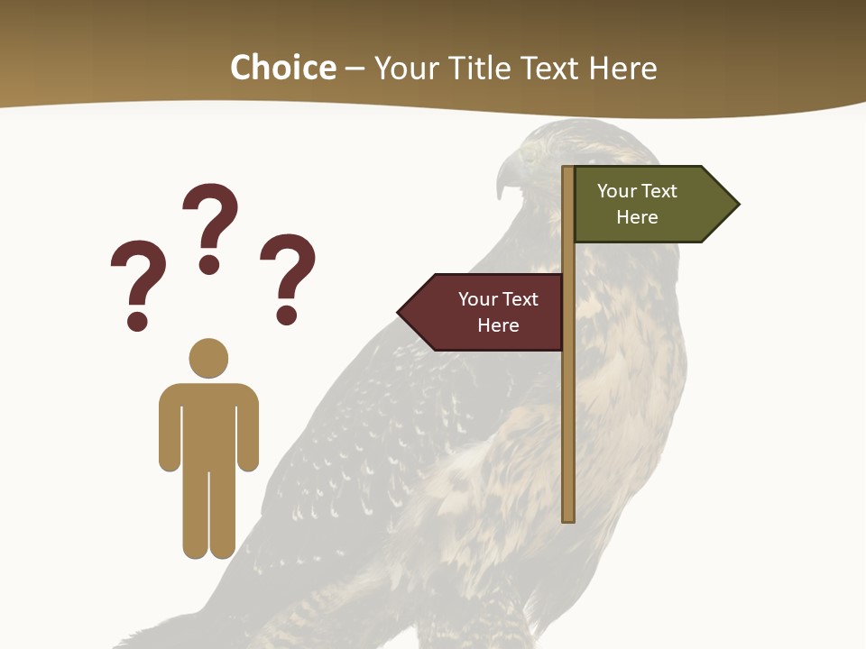 Hawk Isolated Nature PowerPoint Template