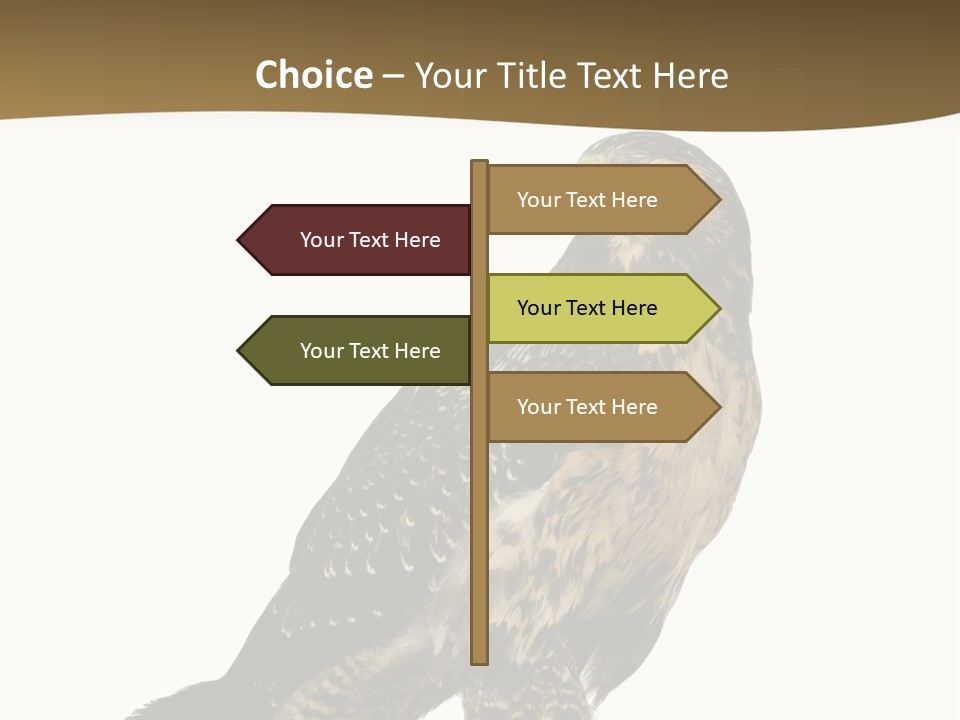 Hawk Isolated Nature PowerPoint Template