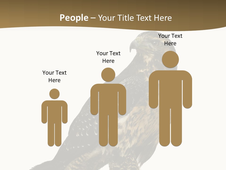 Hawk Isolated Nature PowerPoint Template