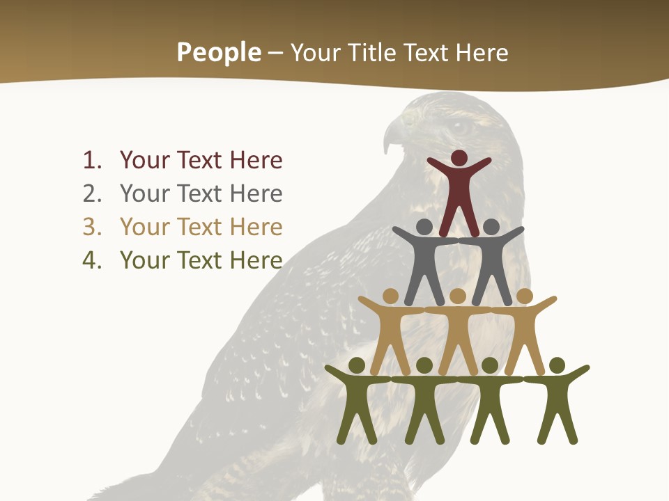 Hawk Isolated Nature PowerPoint Template