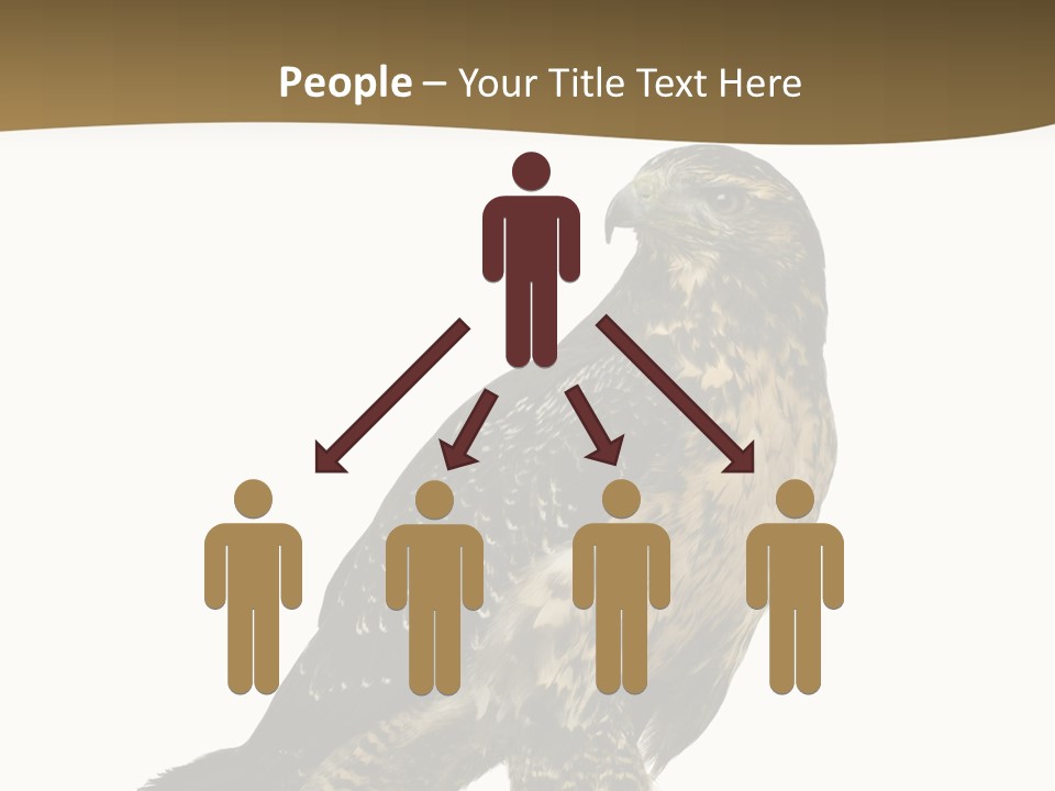 Hawk Isolated Nature PowerPoint Template