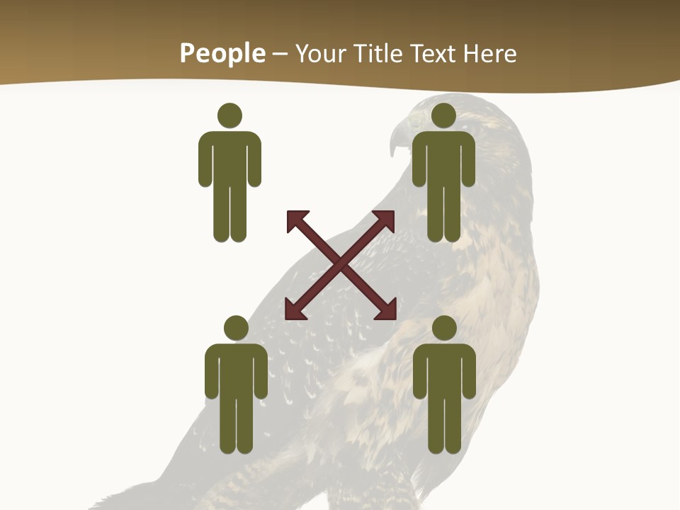Hawk Isolated Nature PowerPoint Template