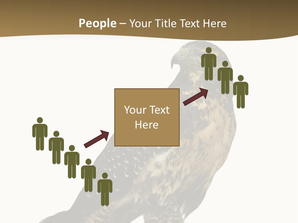 Hawk Isolated Nature PowerPoint Template