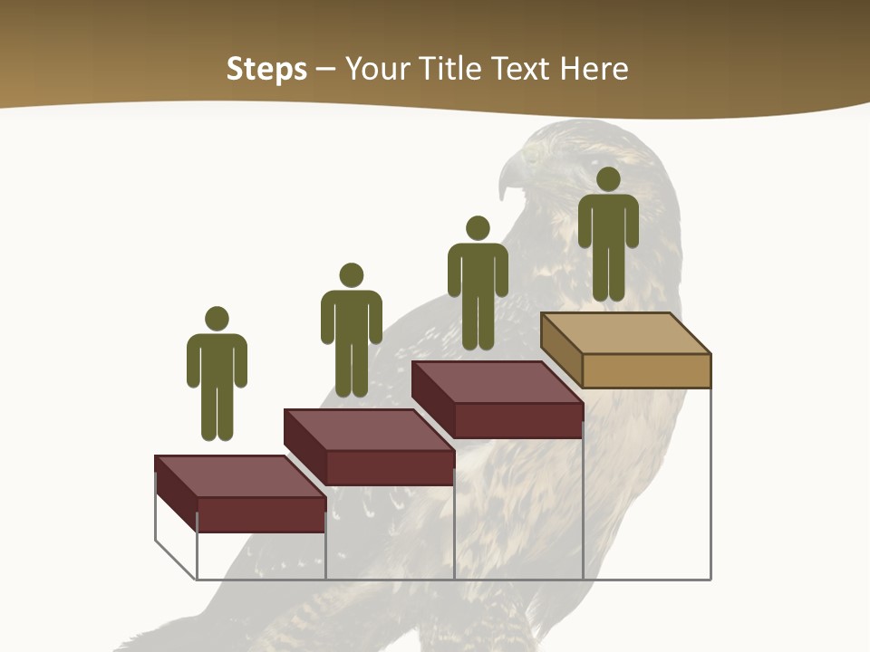 Hawk Isolated Nature PowerPoint Template